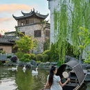 碧山村 - 黄山市旅游 缩略图 2