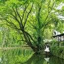 碧山村 - 黄山市旅游 缩略图 1