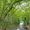 碧山村 - 黄山市旅游 缩略图 6
