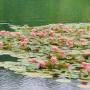 茅家埠景区 - 杭州市旅游 缩略图 8
