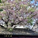 况公祠 - 苏州市旅游 缩略图 1