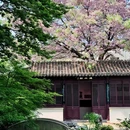 况公祠 - 苏州市旅游 缩略图 2