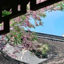 况公祠 - 苏州市旅游 缩略图 6