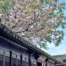况公祠 - 苏州市旅游 缩略图 9