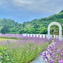 温州南麂岛 - 温州市旅游 缩略图 3