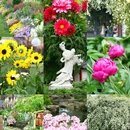 上海植物园 - 上海市旅游 缩略图 9