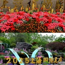 上海植物园 - 上海市旅游 缩略图 8