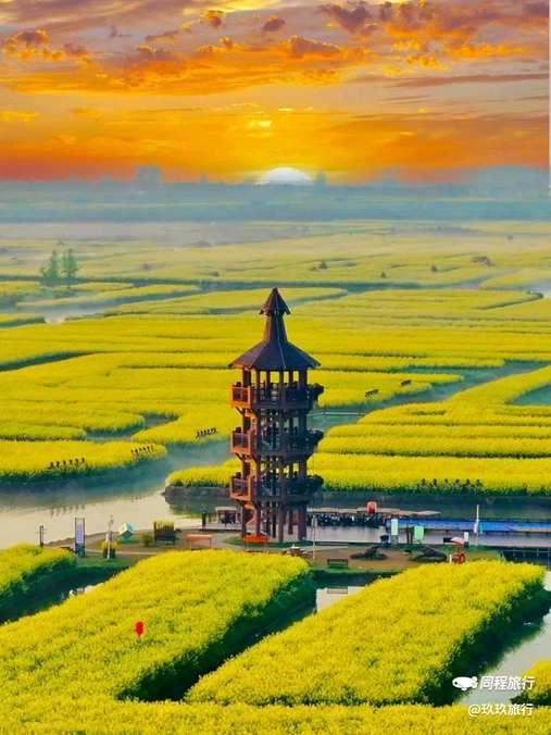 兴化森南大酒店 - 泰州市旅游