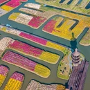 兴化森南大酒店 - 泰州市旅游 缩略图 2
