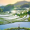 浙江大厦 - 广州市旅游 缩略图 2