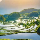 浙江大厦 - 广州市旅游 缩略图 6
