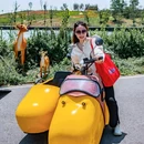 多乐拾趣花田乐园 - 南京市旅游 缩略图 9
