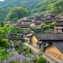 云和梯田景区 - 丽水市旅游 缩略图 3