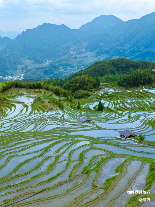 云和梯田景区 - 丽水市旅游