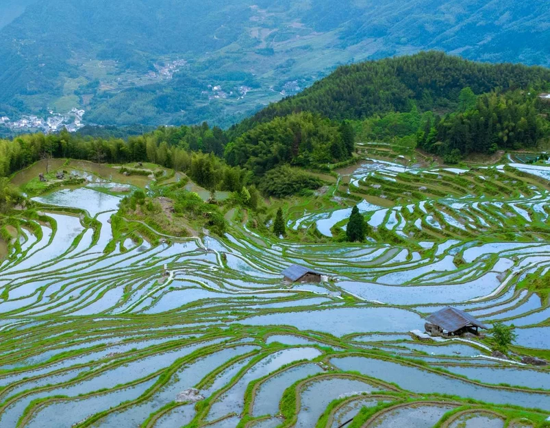 云和梯田景区 - 丽水市旅游 1
