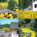 白石岭 - 池州市旅游 缩略图 3