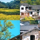 白石岭 - 池州市旅游 缩略图 8