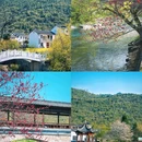 白石岭 - 池州市旅游 缩略图 9