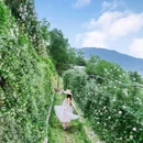 重庆市铜锣花谷生态园 - 重庆市旅游 缩略图 8