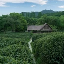 上茅家埠 - 杭州市旅游 缩略图 5