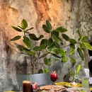 Crescendo@FIELDS十域(源野店) - 成都市旅游 缩略图 1