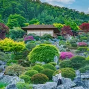 下渚湖·奇幻谷 - 湖州市旅游 缩略图 2