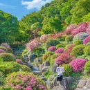 下渚湖·奇幻谷 - 湖州市旅游 缩略图 4