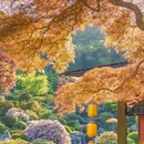 下渚湖·奇幻谷 - 湖州市旅游 缩略图 8