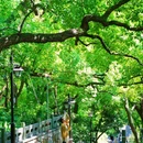 吴山景区-城隍阁 - 杭州市旅游 缩略图 5