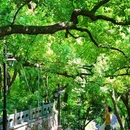 吴山景区-城隍阁 - 杭州市旅游 缩略图 9