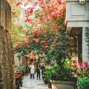 南头古城 - 深圳市旅游 缩略图 5