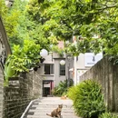 南头古城 - 深圳市旅游 缩略图 9