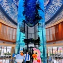 舟山长乔鹈鹕度假酒店 - 舟山市旅游 缩略图 3