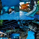 舟山长乔鹈鹕度假酒店 - 舟山市旅游 缩略图 9