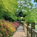 苏州虎丘湿地公园 - 苏州市旅游 缩略图 6