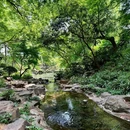 苏州虎丘湿地公园 - 苏州市旅游 缩略图 8