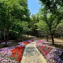 苏州虎丘湿地公园 - 苏州市旅游 缩略图 7