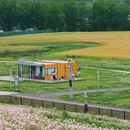 木星一号城市滑翔伞飞行营地 - 成都市旅游 缩略图 6