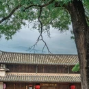 沙溪古镇旅游景区 - 大理白族自治州旅游 缩略图 6