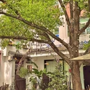 卢小厨新长兴菜 - 湖州市旅游 缩略图 5