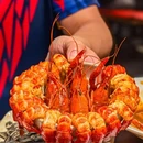 烤官大人·烧烤·小龙虾(南翔店) - 上海市旅游 缩略图 4