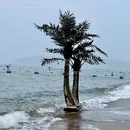 东二路浴场 - 秦皇岛市旅游 缩略图 6