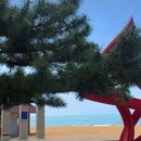 东二路浴场 - 秦皇岛市旅游 缩略图 9
