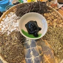古春堂凉茶甜品(唐家店) - 珠海市旅游 缩略图 8