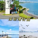 深圳湾公园 - 深圳市旅游 缩略图 1