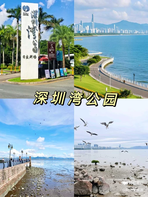 深圳湾公园 - 深圳市旅游