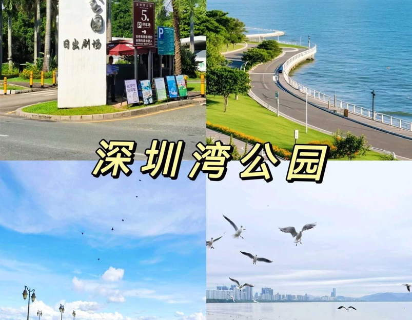 深圳湾公园 - 深圳市旅游 1