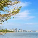 深圳湾公园 - 深圳市旅游 缩略图 9