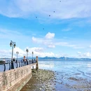 深圳湾公园 - 深圳市旅游 缩略图 6