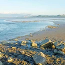 深圳湾公园 - 深圳市旅游 缩略图 7